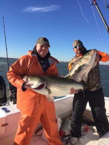 striped bass,rock fish, line siders, delaware, sussex county, sea isle city,new jersey