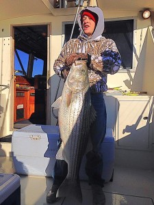rockfish, new jersey, delaware bay, sea isle lumps, avalon lumps, striped bass, linesider,
