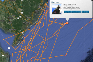 mary lee, greatwhite shark tracker, ocearch