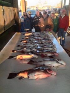katydid sportfishing, tautog, togin, delaware, sussex county