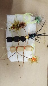 The "easy" flies the kids tied