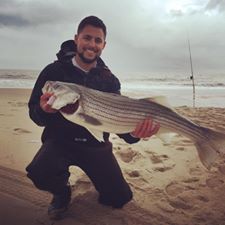 striped bass, rockfish, linesider, old inlet spring surf fishing tournament, sussex county, delaware