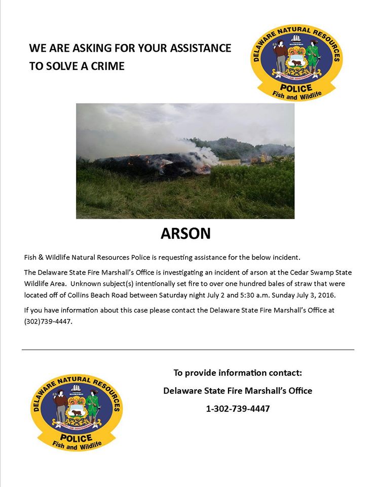 delaware, arson,dnrec, fish and wildlife enforcement, collins beach road, route 9, delaware bay, delaware river, fishing