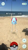 pokemon on the beach, delaware, sussex county, pokemon go
