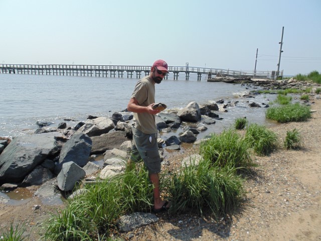 delaware, kent county, dover air force base, port mahon, fishing pier, delaware bay, lighthouse,