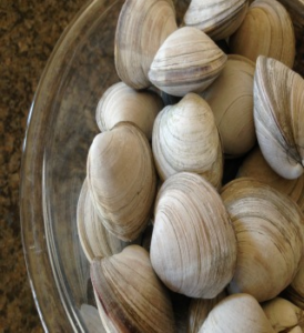 hard clam, clamming, littlenecks, delaware, sussex county