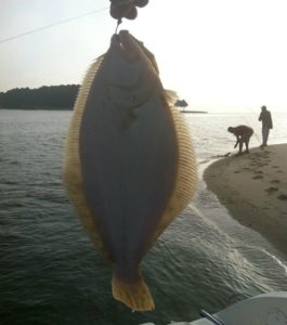 flounder, chesapeake, maryland, Joe Yack, structure fishing, rip fishing, jigging