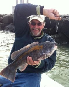 tautog, joe yack, maryland, ocean city inlet