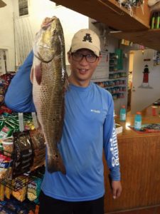 red drum, puppy drum, cape henlopen fishing pier, lewes, delaware, sussex county