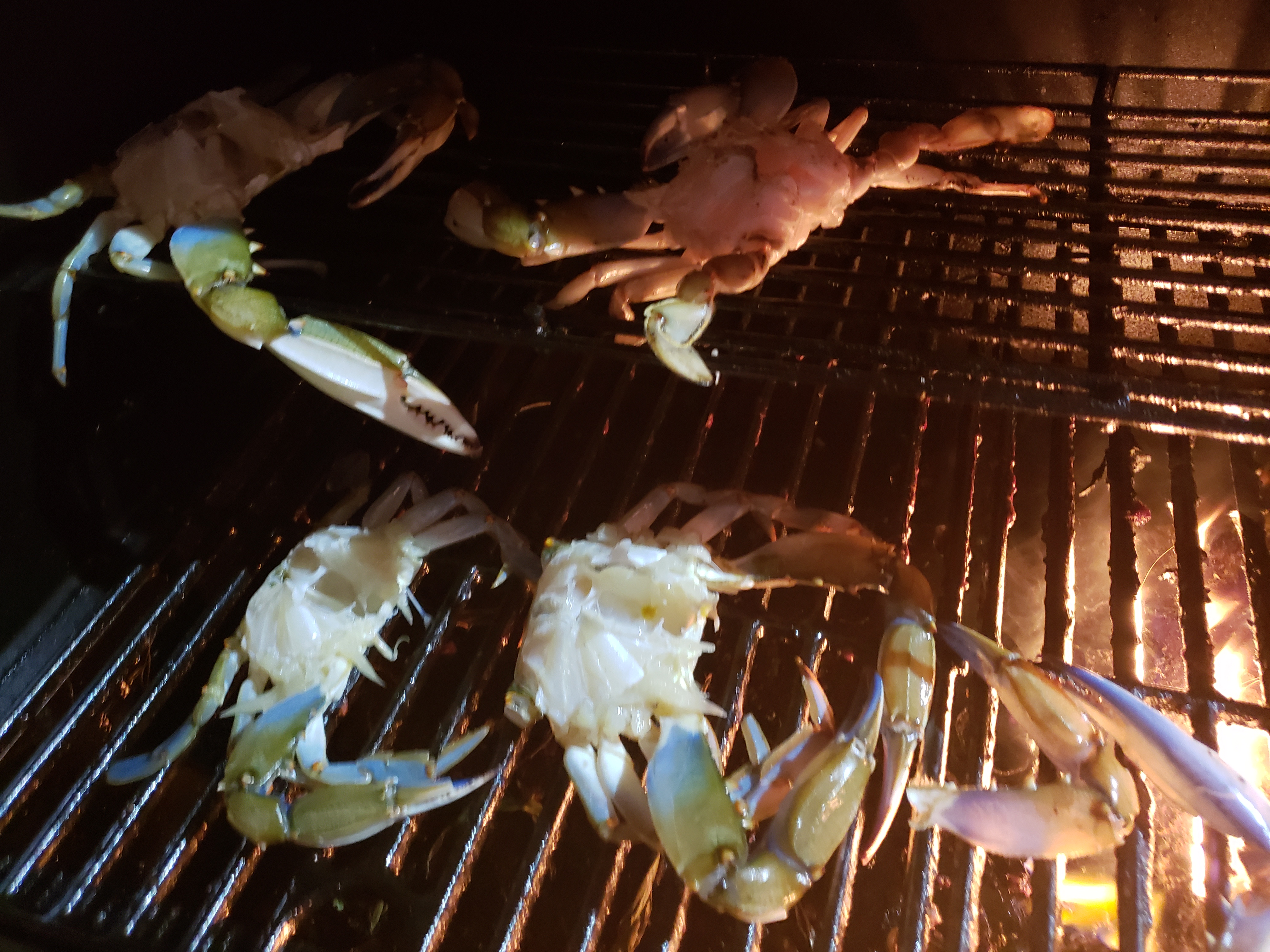 PETA, blue crabs, delaware, sussex county, baltimore