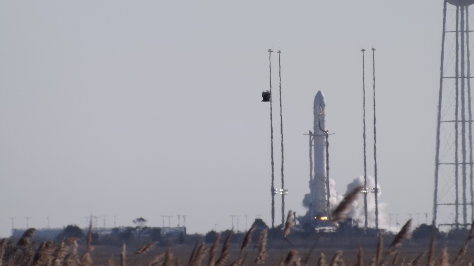 antares, wallops island, nasa, international space station, rocket launch, resupply mission