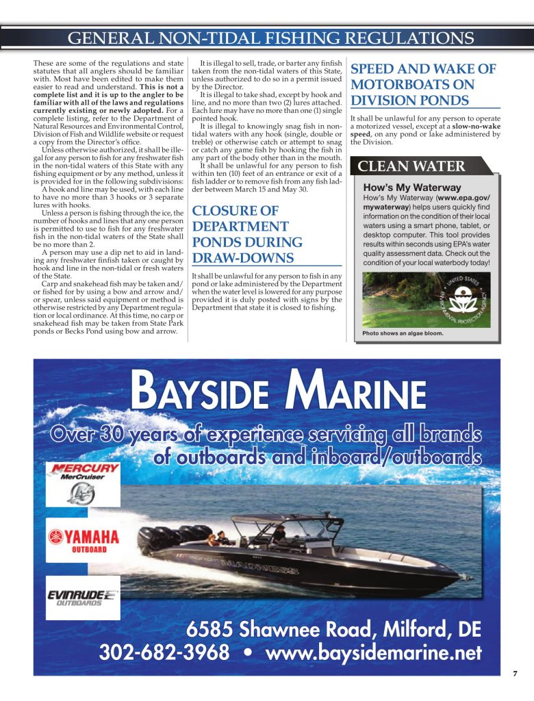 DNREC, 2019 Delaware Fishing Guide, Delaware Department of Natural Resources and Environmental Control, new castle county, kent county, sussex county, creel limits, regulations, state fishing records,