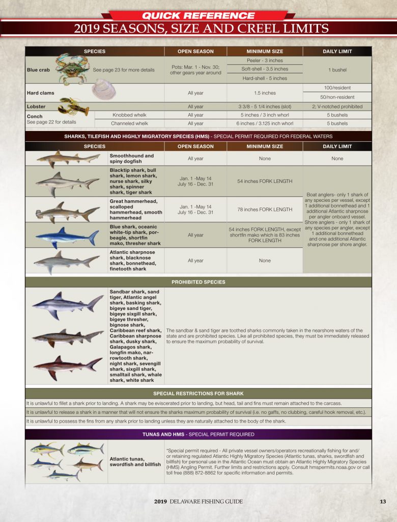 DNREC, 2019 Delaware Fishing Guide, Delaware Department of Natural Resources and Environmental Control, new castle county, kent county, sussex county, creel limits, regulations, state fishing records,