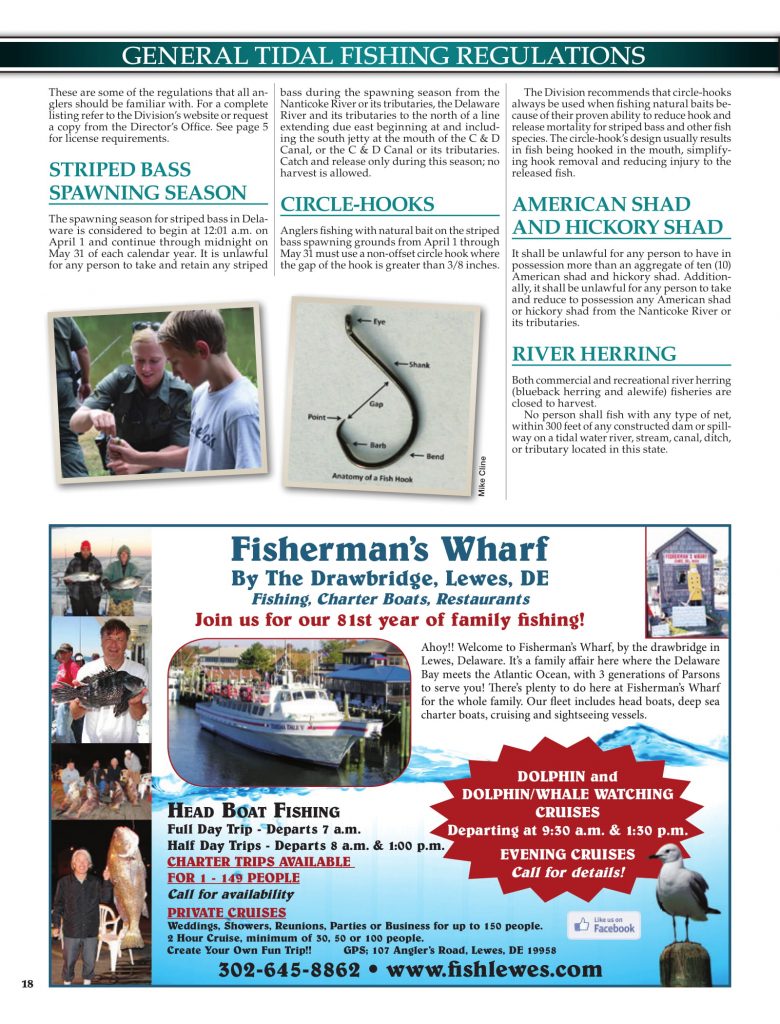 DNREC, 2019 Delaware Fishing Guide, Delaware Department of Natural Resources and Environmental Control, new castle county, kent county, sussex county, creel limits, regulations, state fishing records,