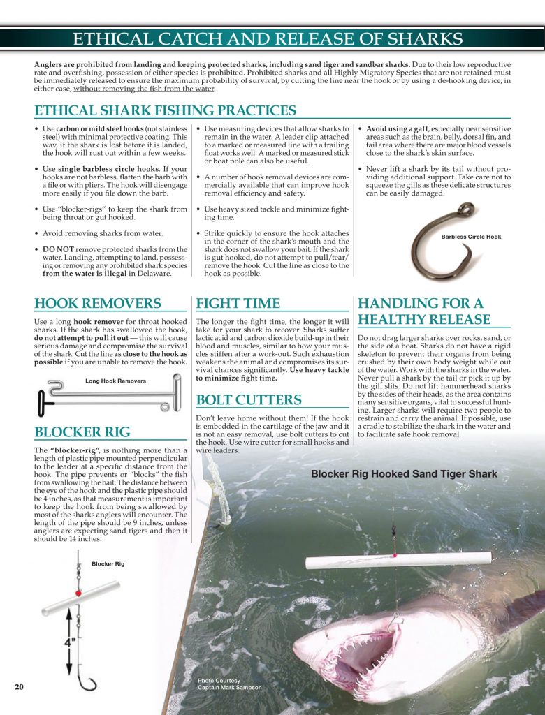DNREC, 2019 Delaware Fishing Guide, Delaware Department of Natural Resources and Environmental Control, new castle county, kent county, sussex county, creel limits, regulations, state fishing records,