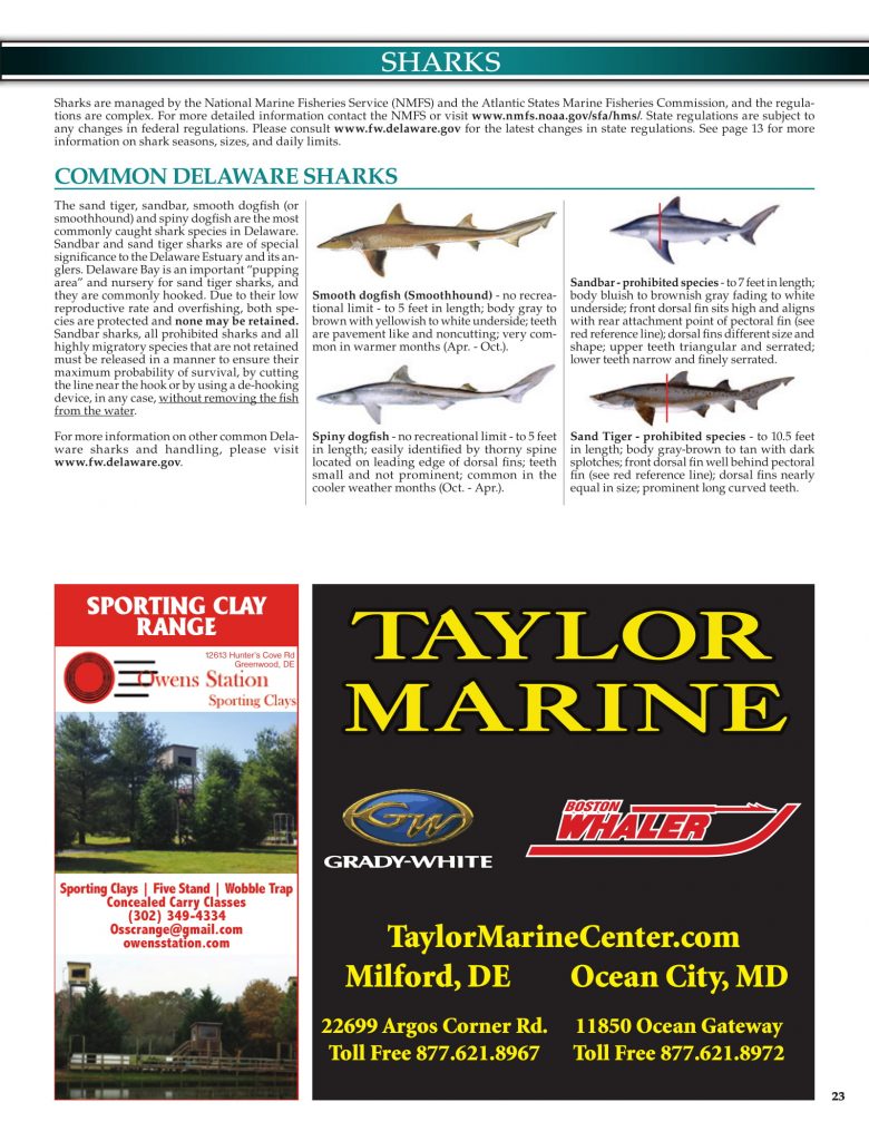 DNREC, 2019 Delaware Fishing Guide, Delaware Department of Natural Resources and Environmental Control, new castle county, kent county, sussex county, creel limits, regulations, state fishing records,