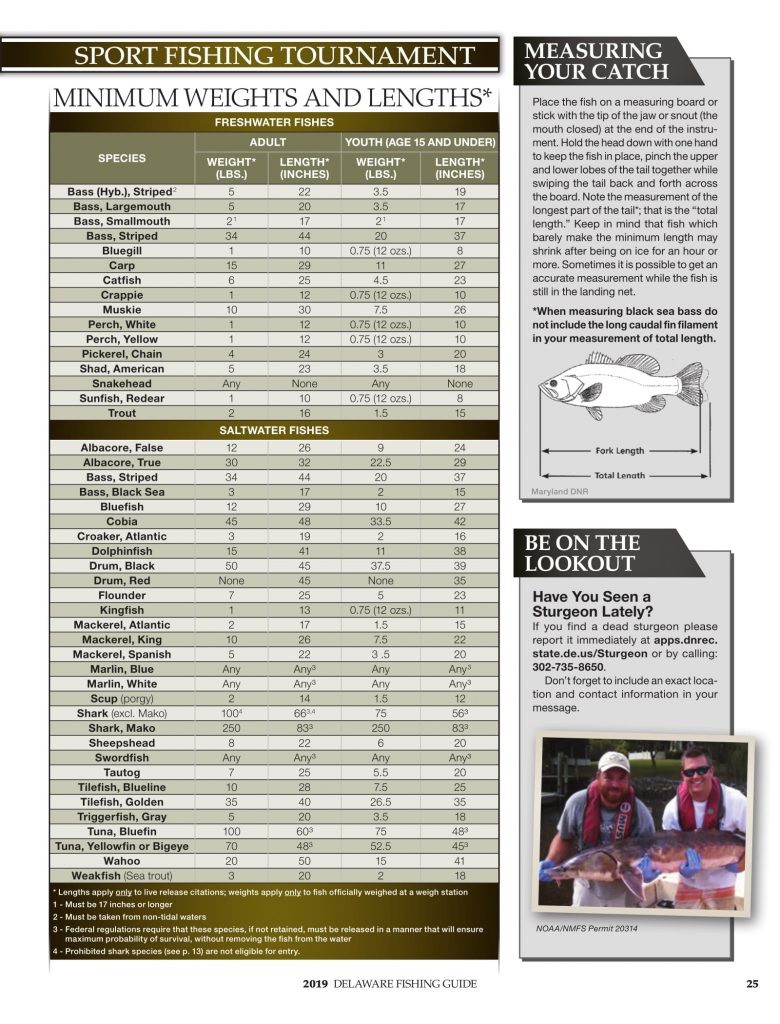 DNREC, 2019 Delaware Fishing Guide, Delaware Department of Natural Resources and Environmental Control, new castle county, kent county, sussex county, creel limits, regulations, state fishing records,