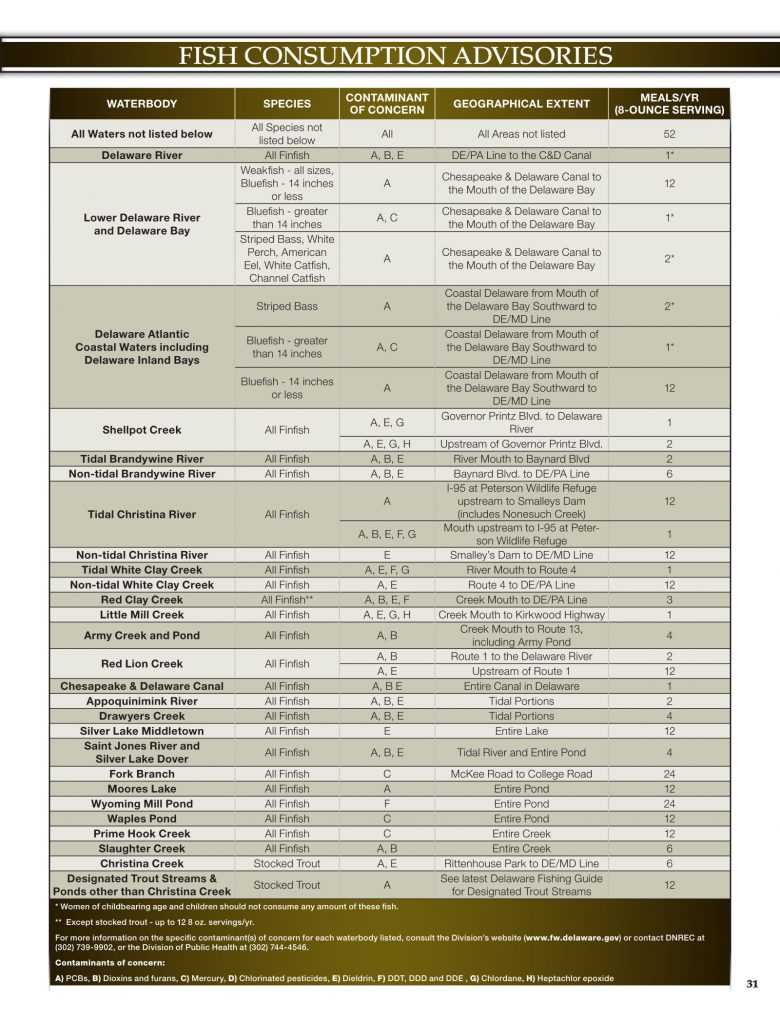 DNREC, 2019 Delaware Fishing Guide, Delaware Department of Natural Resources and Environmental Control, new castle county, kent county, sussex county, creel limits, regulations, state fishing records,