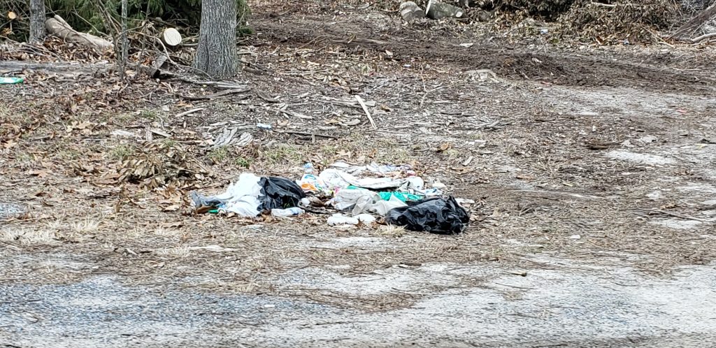 Request for Litter Clean Up Along Roadway, sussex county, trash on the road, litter,