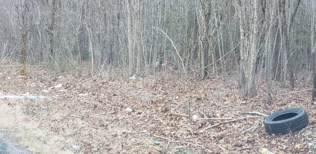 Request for Litter Clean Up Along Roadway, sussex county, trash on the road, litter,