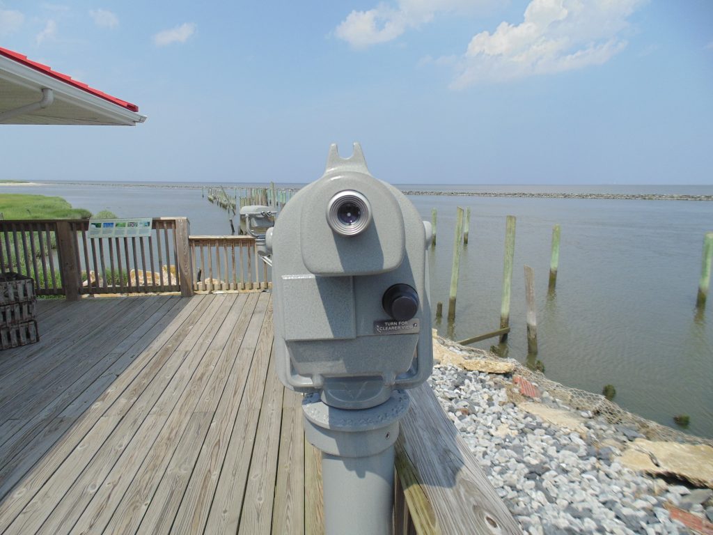 DuPont Nature Center, misipillion river, kent county, sussex county, delaware bay, cedar creek, delaware bay launch service