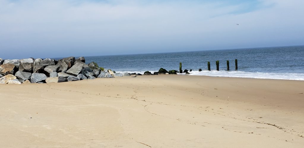 beach, low tide, naval jetty, cape henlopen state park, delaware, sussex county
