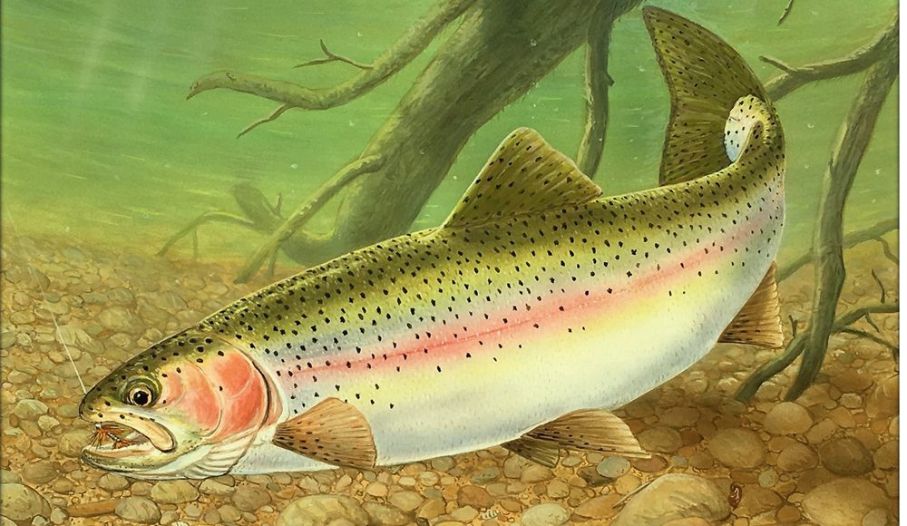 Delaware trout stamp, 2020