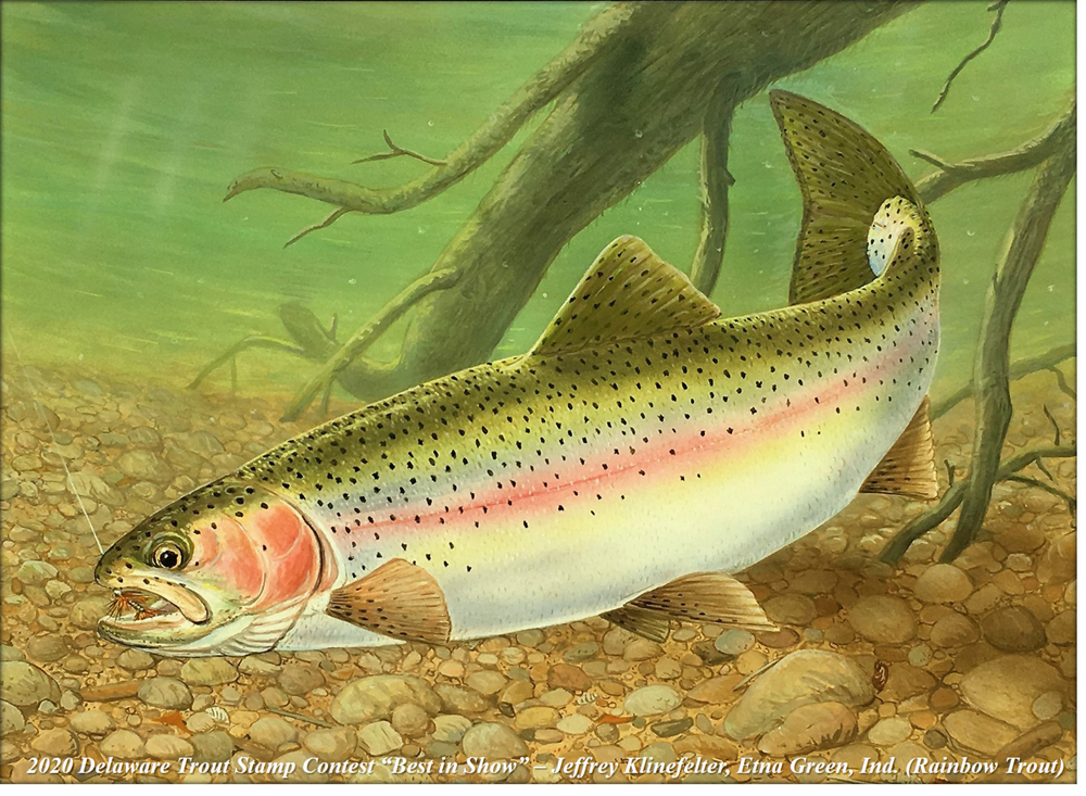 Delaware trout stamp, 2020