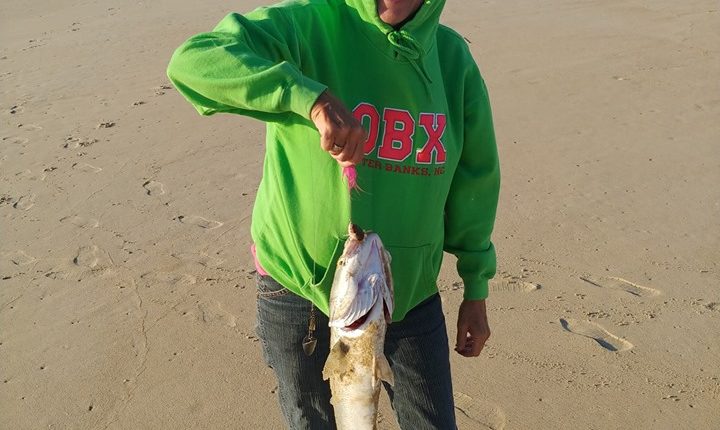 ds custom tackle, mullet rig, modified mullet rig, delaware, sussex county, diamond state custom tackle, local tackle, gear made for anglers by anglers, bluefish, gator blue, yellow eyed devil,
