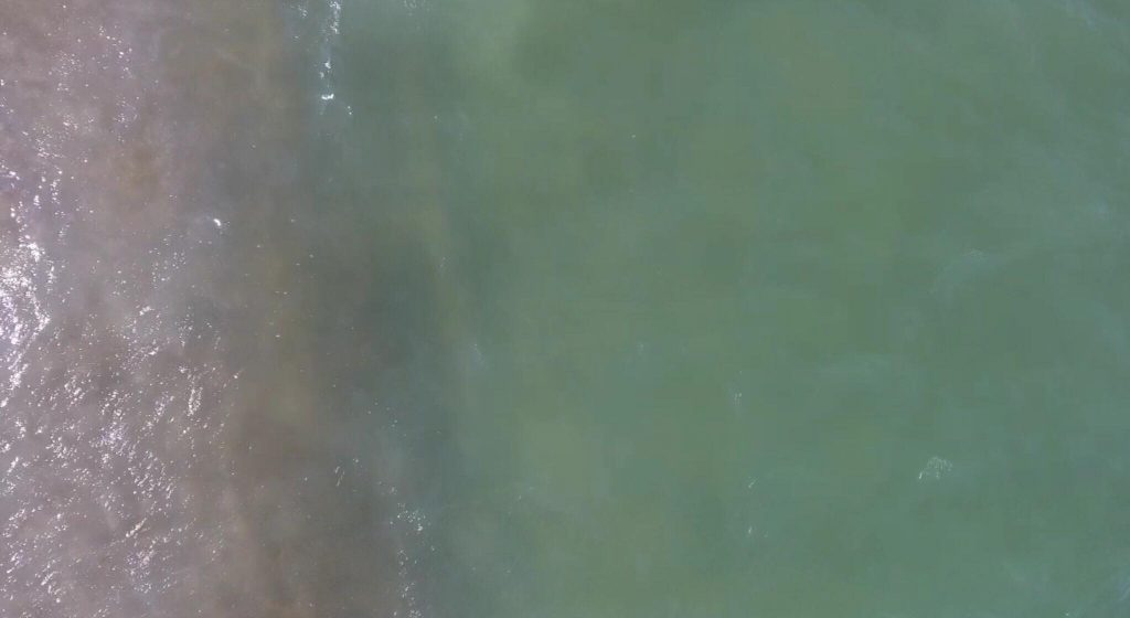 how to fish the beach in Delaware, the ledge in the surf, surf fishing, delaware, sussex county, reading the beach, the wash, sand fleas,