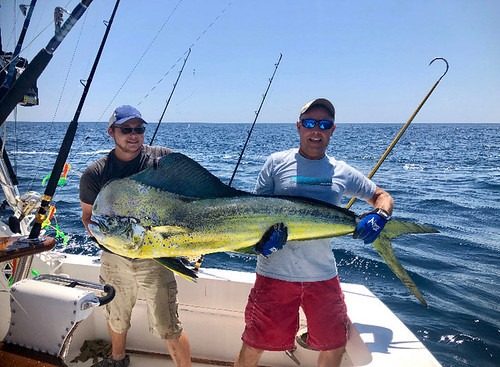 mayrland state record, mahi mahi, ocean city, dolphin fish, dorado