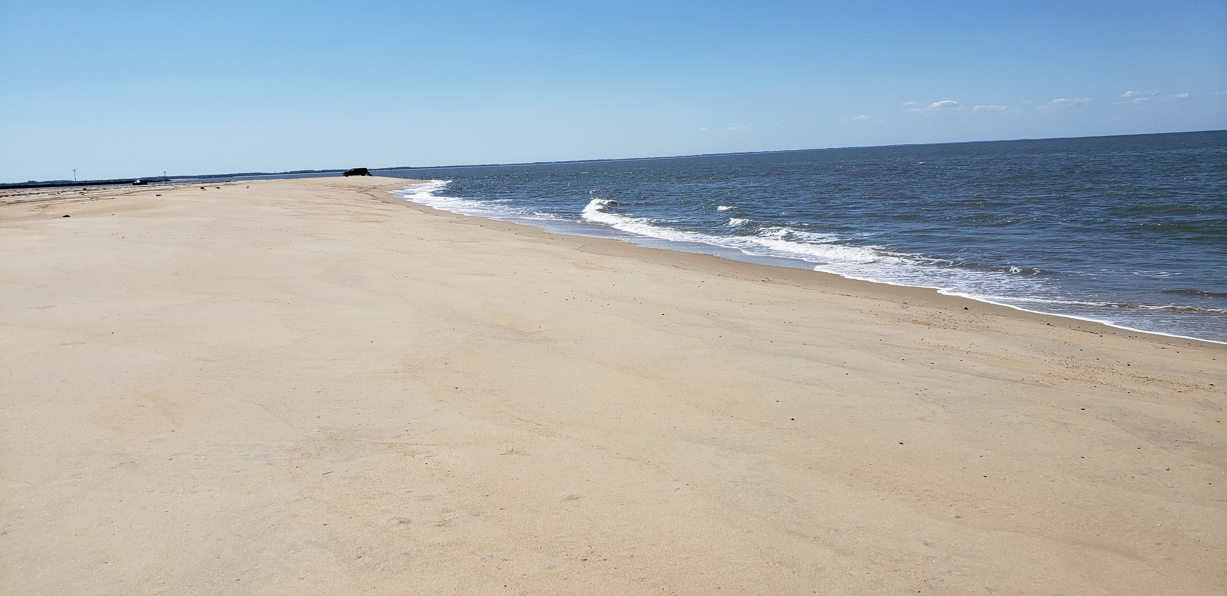 Cape Henlopen State Park Point Looks Great