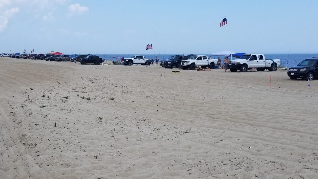 Beach coalition, fenwick island houses