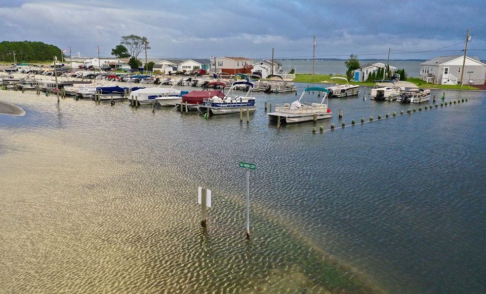 long neck road, noreaster flooding, delaware, malones, bayside bait and tackle, sussex county, inland bay flooding,