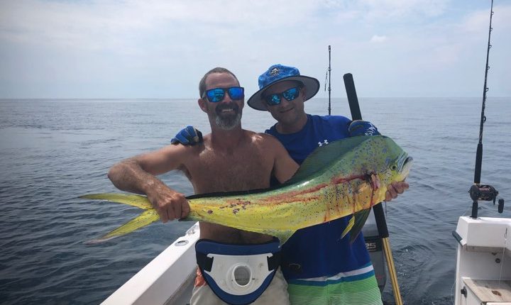 mahi, dolphin fish, wmo, white marlin open