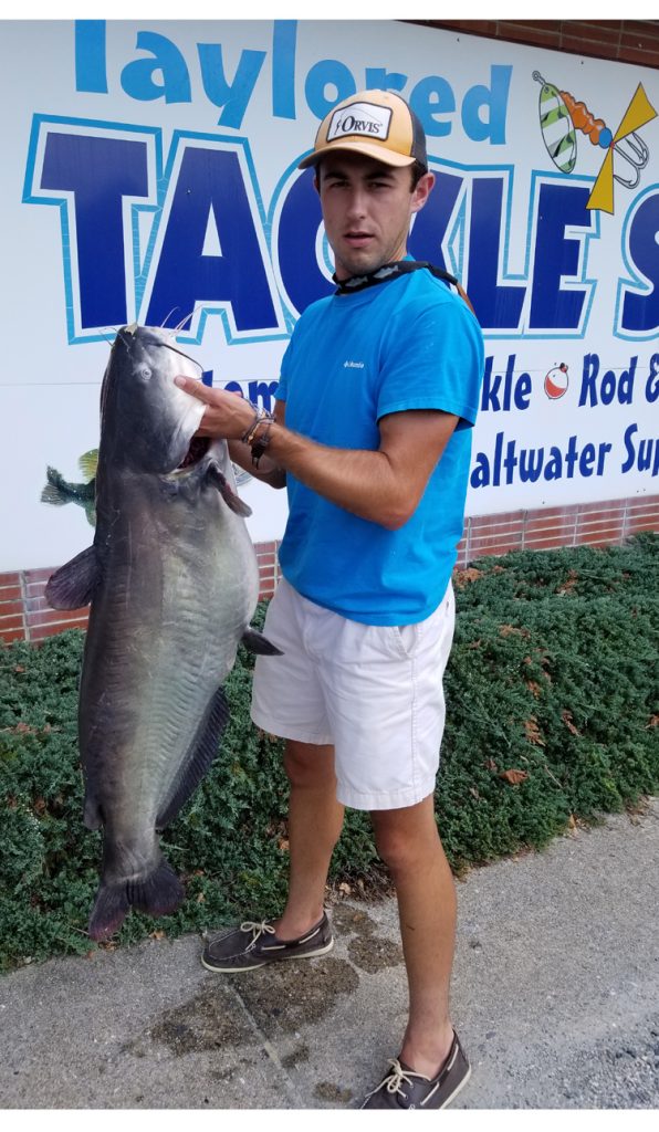blue catfish, delaware state record, seaford, nanticoke river