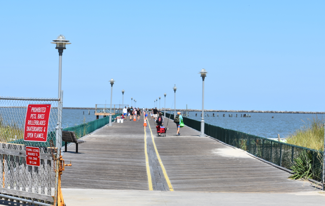 Henlopen bait & tackle Clearance