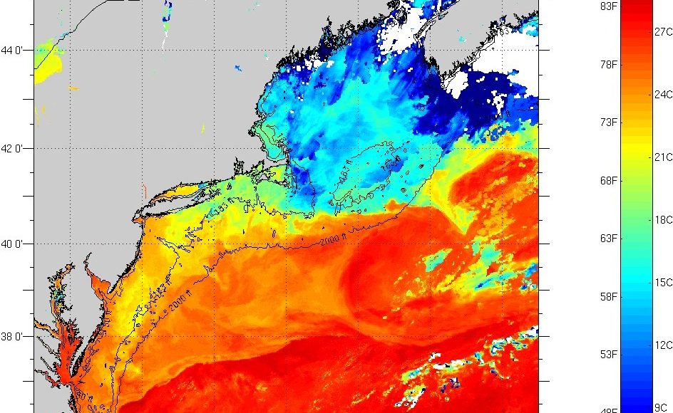 sea surface temperatures, northeast, rutgers satellire imagery, ICMS satellite